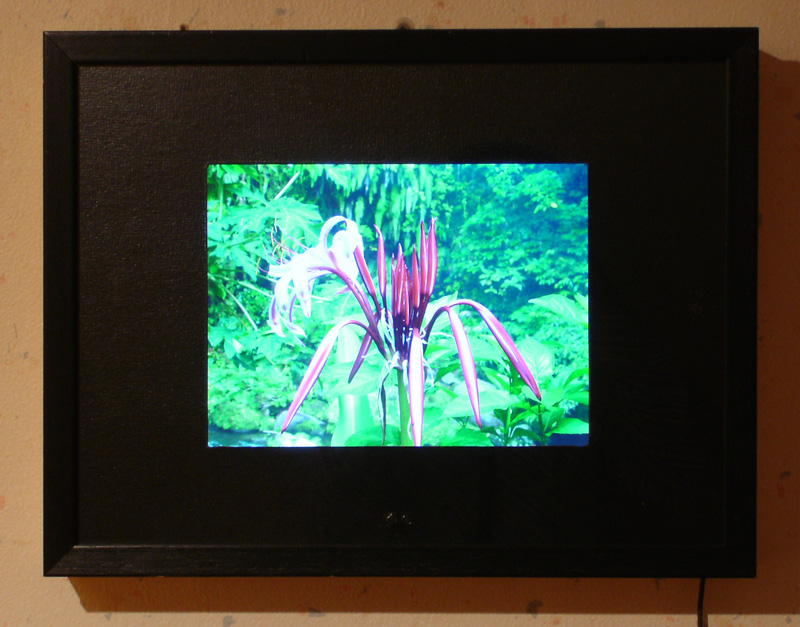 Pictureframe2
