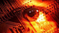 seanrox's picture seanrox's picture