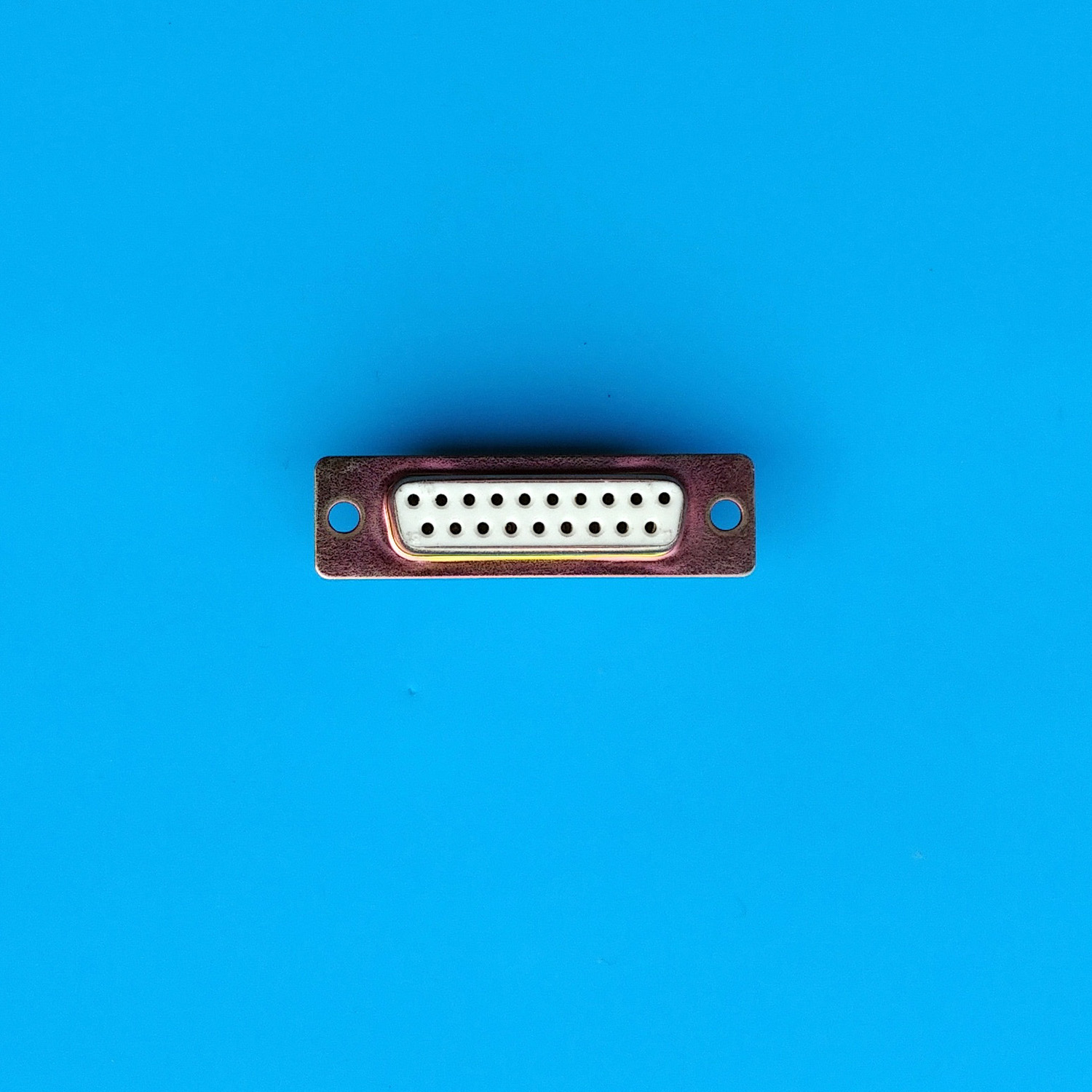 Image of a female DB19 connector on a blue background from A2Heaven.com
