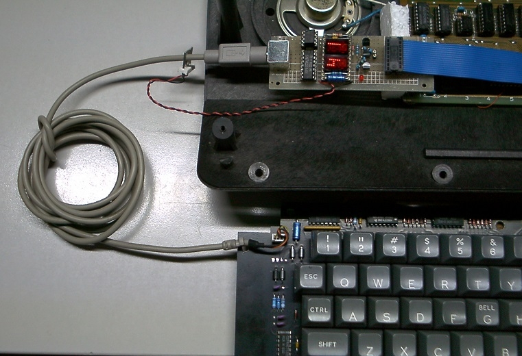 YAKKEN lab rat closeup