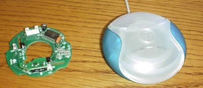 innards